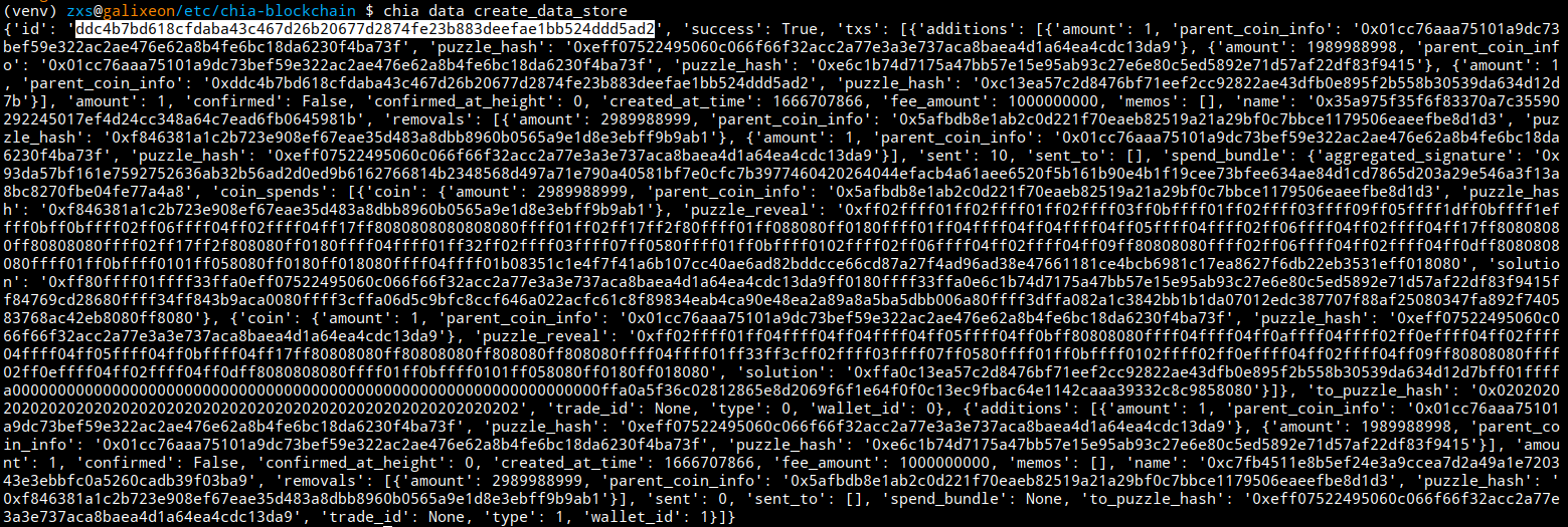 chia data create_data_store output